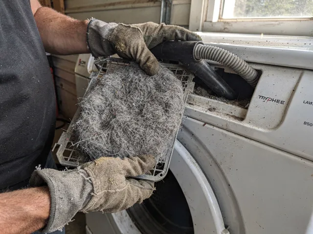 Cleaning Dryer Lint Trap in Mansfield